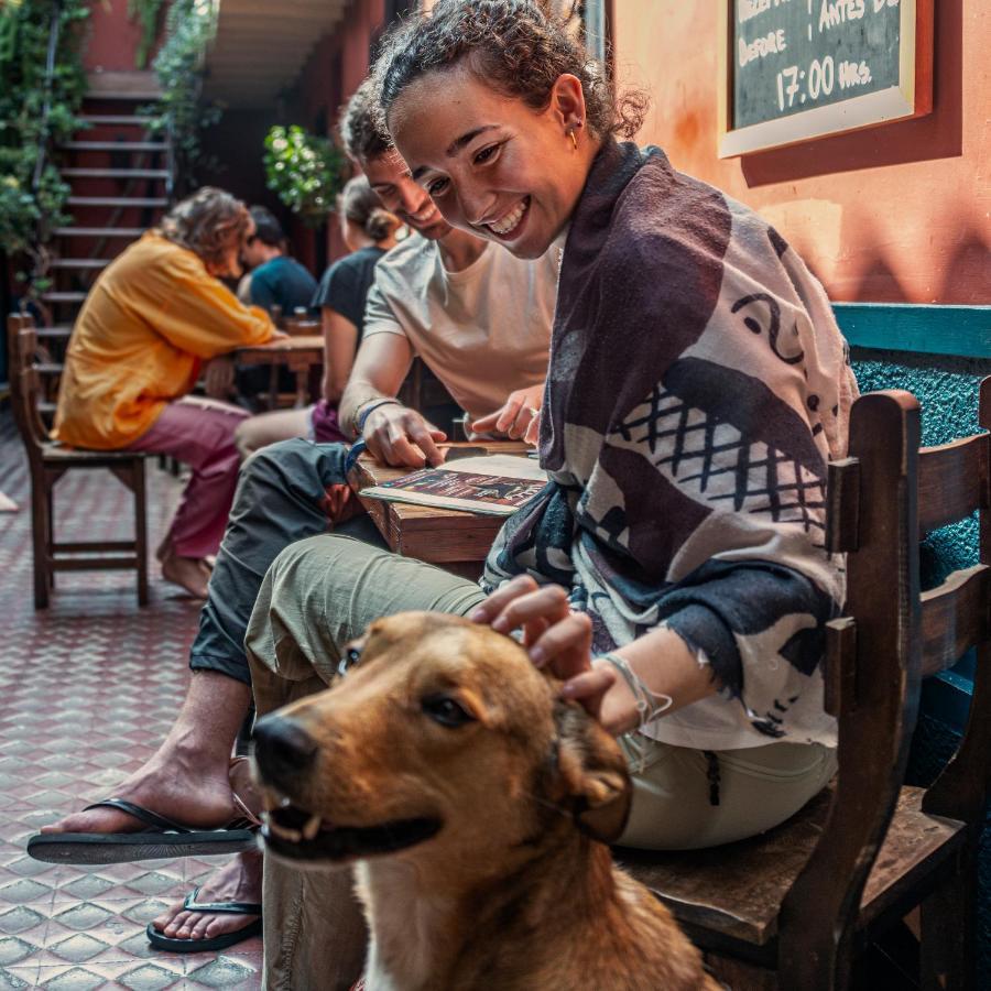 Kaclla, The Healing Dog Hostel Lima Exterior photo