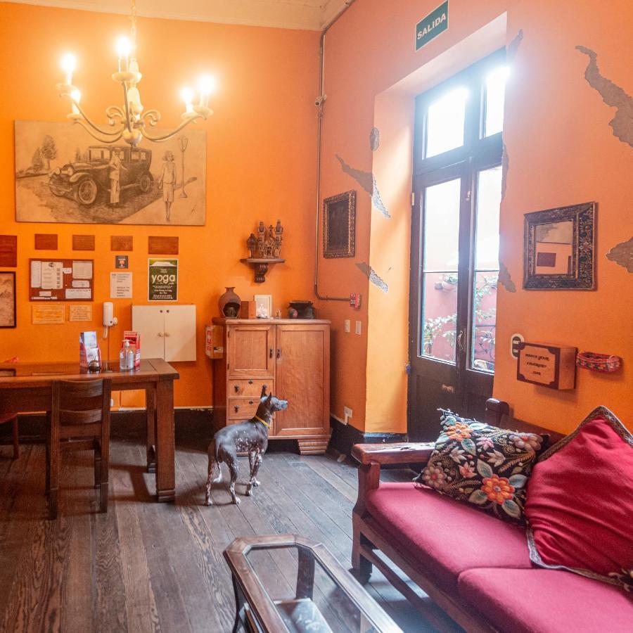 Kaclla, The Healing Dog Hostel Lima Exterior photo