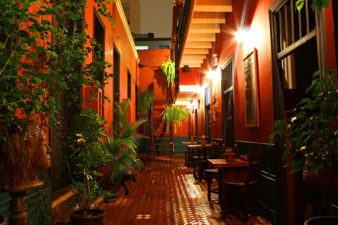 Kaclla, The Healing Dog Hostel Lima Exterior photo