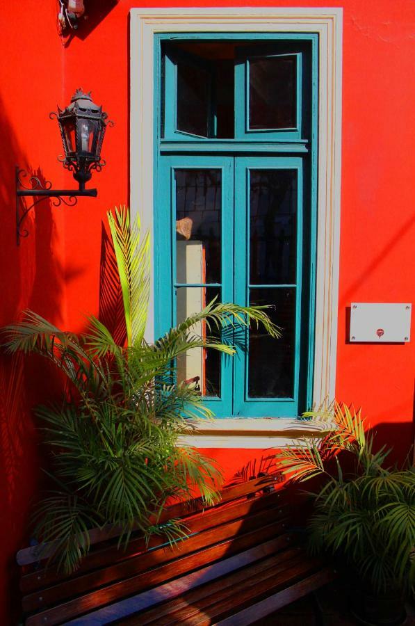 Kaclla, The Healing Dog Hostel Lima Exterior photo