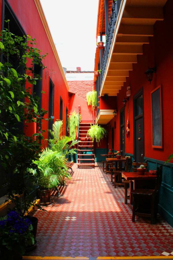 Kaclla, The Healing Dog Hostel Lima Exterior photo